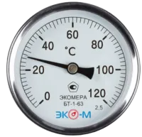 Remove-bg.ai_1710154205941