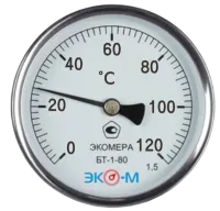 Remove-bg.ai_1710154826821