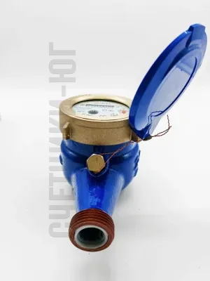 Счетчик воды ЭКОМЕРА-20М Мокроходный (Глицерин) l-190