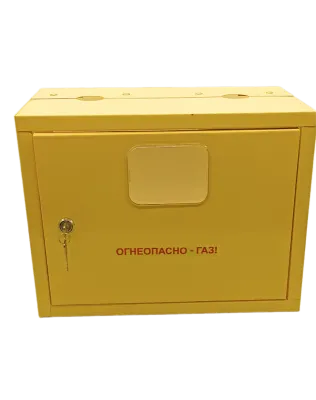 Шкаф для газ счетчика 2.0 (250мм) дверь