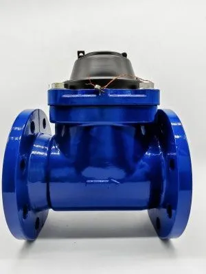 Счетчик воды ЭКОМЕРА-80 Холодный Фланцевый