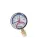 Термоманометр Экомера МД04-80мм 0..1,6МПа 0..160С G1/4 L=60 mm с переходником на G1/2