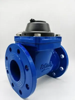 Счетчик воды ЭКОМЕРА-80 Холодный Фланцевый