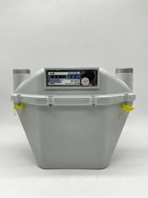 Счетчик газа СГМН 1 G 6 250 мм без КМЧ левый