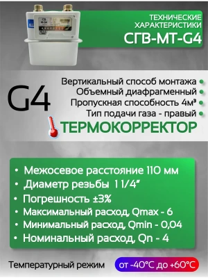 Счетчик газа СГВ-МТ-G4 RL