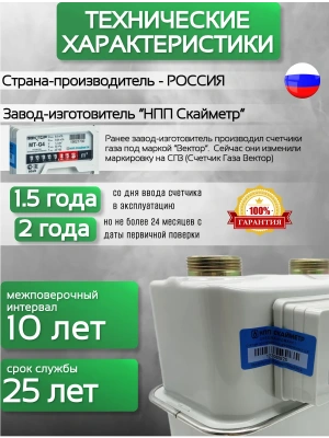 Счетчик газа СГВ-МТ-G4 RL