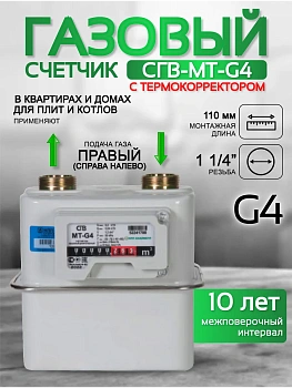 Счетчик газа СГВ-МТ-G4 RL