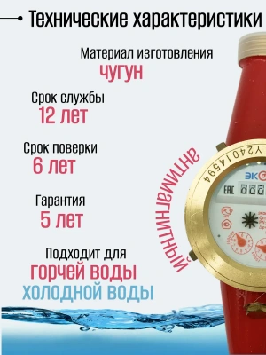 Счетчик воды ЭКОМЕРА-40 Универсальный (Чугун)